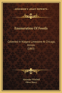 Enumeration Of Fossils