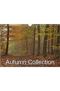 Autumn Collection 2017