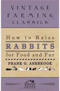 How To Raise Rabbits For Food And Fur