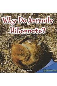 Why Do Animals Hibernate?