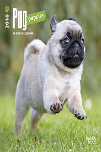 Pug Puppies 2018 Mini Wall Calendar