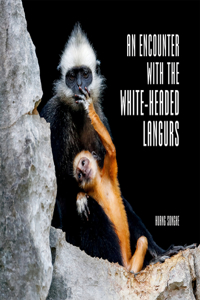 Encounter with the White-Headed Langurs