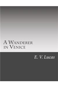 Wanderer in Venice