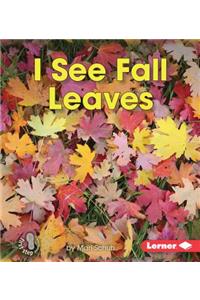 I See Fall Leaves