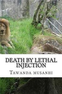 Death by lethal injection