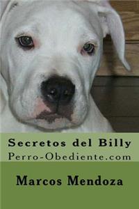 Secretos del Billy