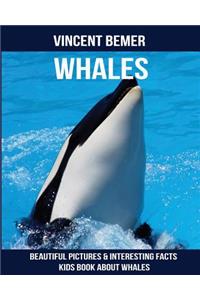 Whales: Beautiful Pictures & Interesting Facts Kids Book About Whales