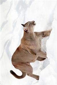 Puma on the Move Journal