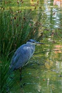 Blue Heron in the Reeds Bird Journal