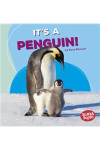 It's a Penguin!