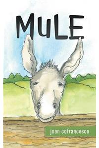 Mule