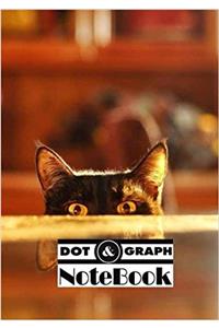 Notebook Dot-Grid, Graph
