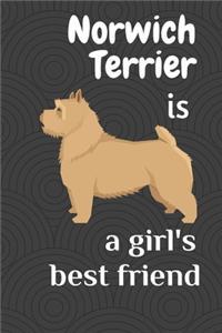 Norwich Terrier is a girl's best friend: For Norwich Terrier Dog Fans