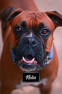 Boxer Dog Pup Puppy Doggie Notebook Bullet Journal Diary Composition Book Notepad - Waiting For Food