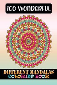 100 Wonderful Different Mandalas Coloring Book