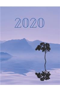 2020