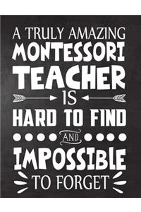 A Truly Amazing Montessori Teacher is Hard to Find and Impossible To Forget
