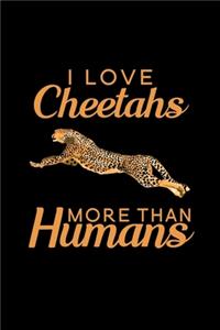 I love Cheetahs more than humans