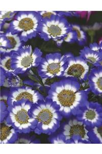 Flower Notebook Large Size 8.5 x 11 Ruled 150 Pages