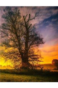 Sky Notebook Large Size 8.5 x 11 Ruled 150 Pages Softcover