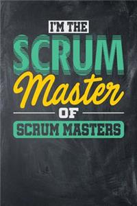 I'm the Scrum Master of Scrum Masters