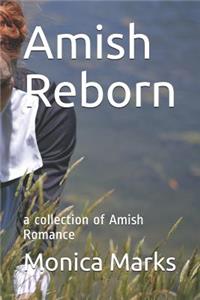 Amish Reborn