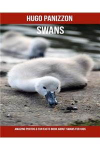Swans: Amazing Photos & Fun Facts Book about Swans for Kids