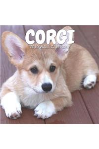 Corgi 2019 Wall Calendar: Dog Photography, Mini Calendar, Wall Calendar Planner, New Years Gift Idea for Dog Lovers