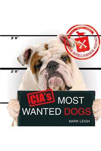 Cia's Most Wanted Dogs