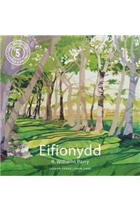 Poster Poem Cards: Eifionydd