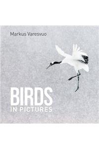 Birds in Pictures
