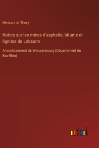 Notice sur les mines d'asphalte, bitume et lignites de Lobsann