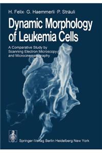 Dynamic Morphology of Leukemia Cells