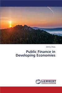 Public Finance in Developing Economies