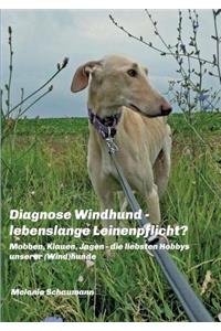 Diagnose Windhund - lebenslange Leinenpflicht?