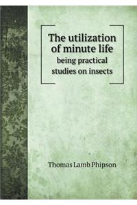 The utilization of minute life being practical studies on insects