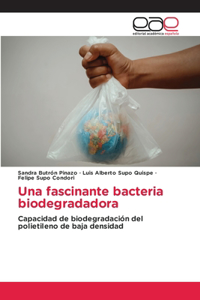 fascinante bacteria biodegradadora