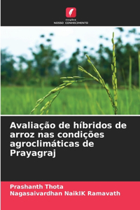 Avaliação de híbridos de arroz nas condições agroclimáticas de Prayagraj