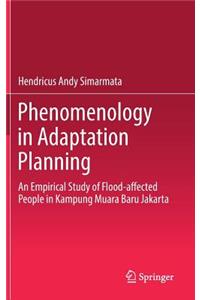 Phenomenology in Adaptation Planning