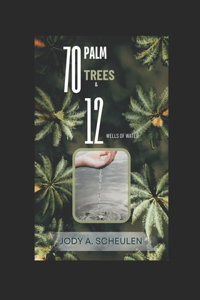 70 Palm Trees & 12 Wells of Water