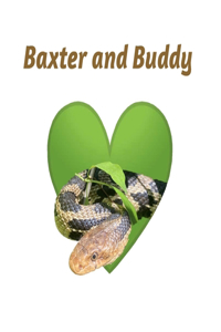 Baxter and Buddy