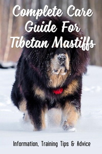 Complete Care Guide For Tibetan Mastiffs