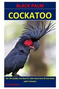 Black Palm Cockatoo