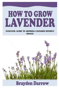 How to Grow Lavender