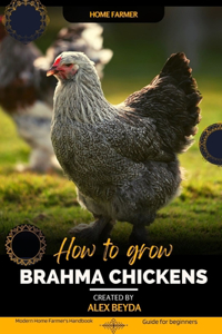 Brahma Chickens