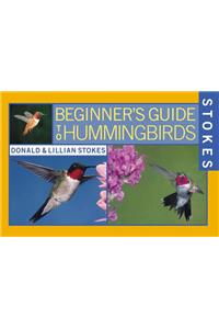 Stokes Beginner's Guide to Hummingbirds