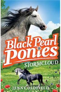 Stormcloud