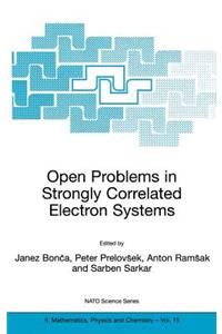 Open Problems in Strongly Correlated Electron Systems