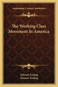 Working Class Movement in America