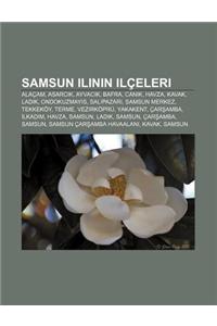Samsun Ilinin Ilceleri
